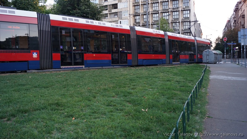 В Белграде красивые и вместительные трамваи.